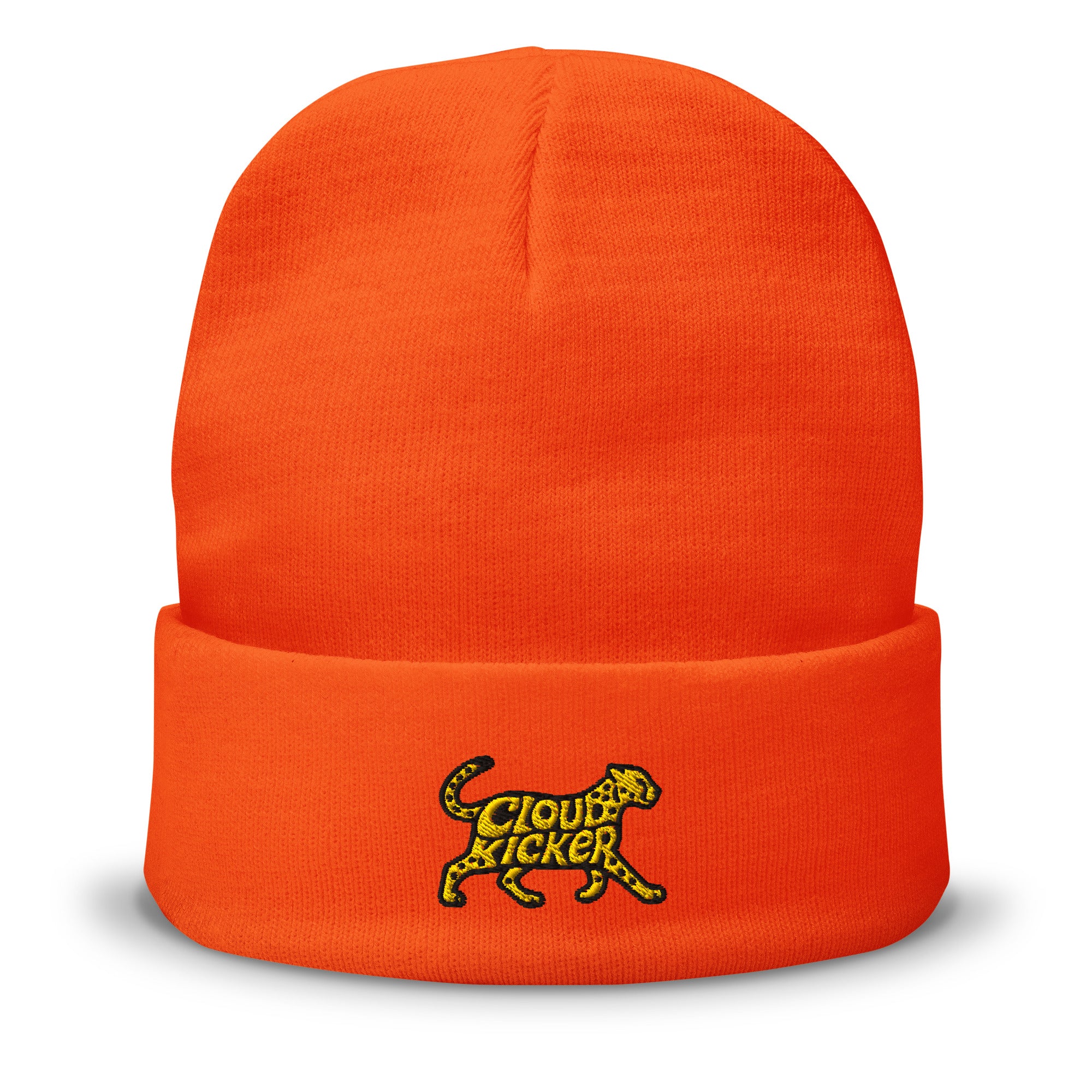 BIG Cat Beanie